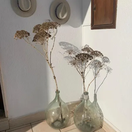 Дом отдыха Casa Ohana *